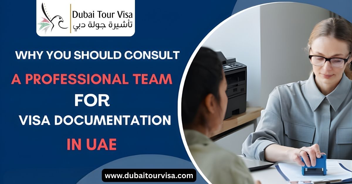 Why You Should Consult a Professional Team For Visa Documentation In UAE